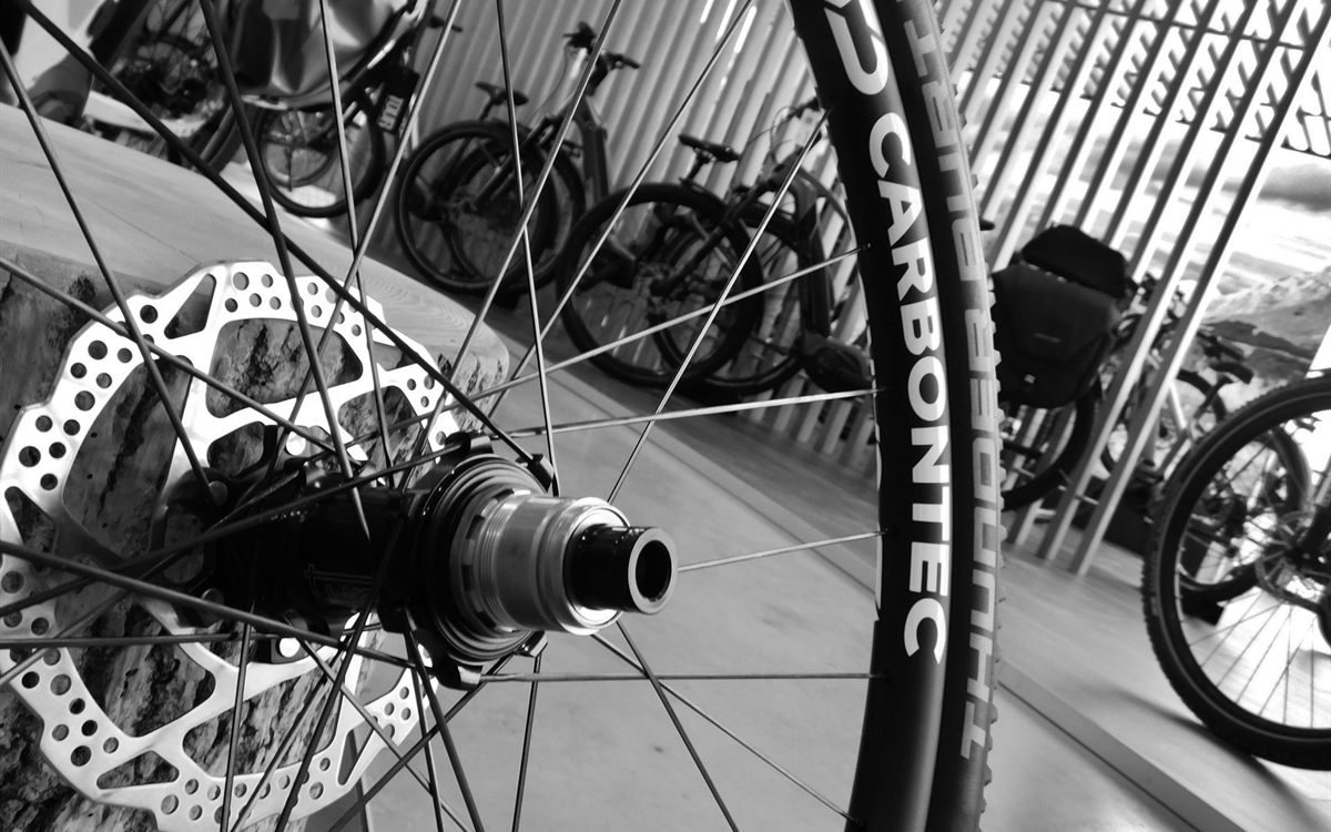 Carbonfelge mit Schriftzug, Detail des Cross-Country-Laufradsatzes